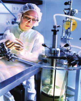 Les étapes de production en bioprocédé